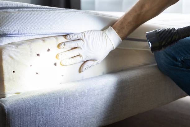  Stoneville, NC Pest Control Pros